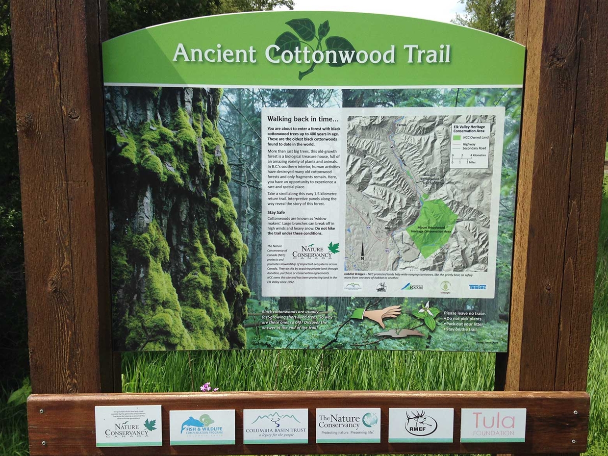 Ancient Cottonwood Trail - Trailhead Sign