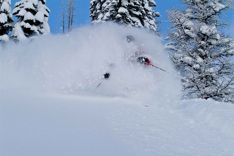 Fernie Alpine Resort opens December 5th!