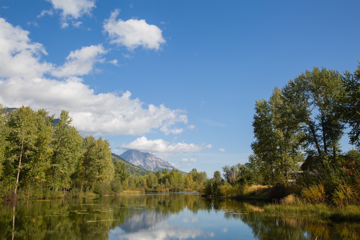 The Fernie City Trail in Annex Park