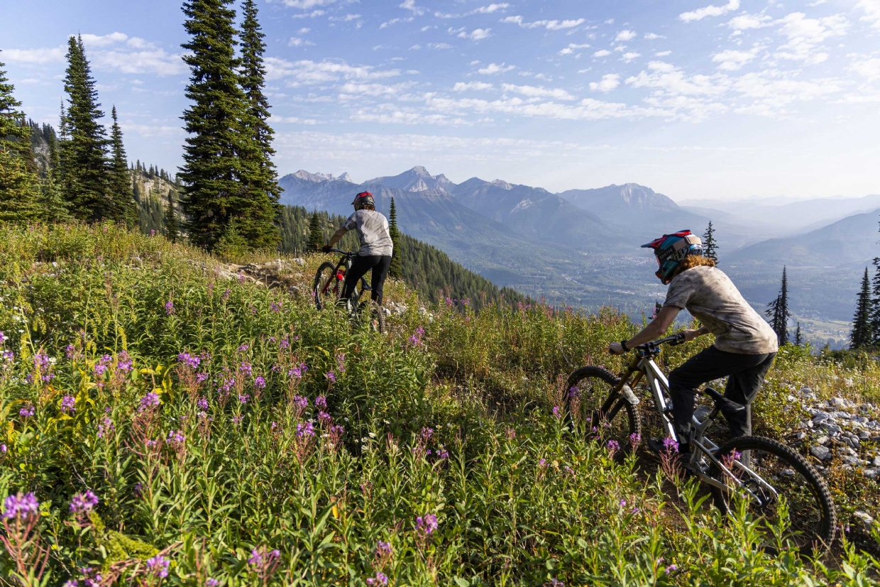 Lift-accessed bike park at Fernie Alpine Resort