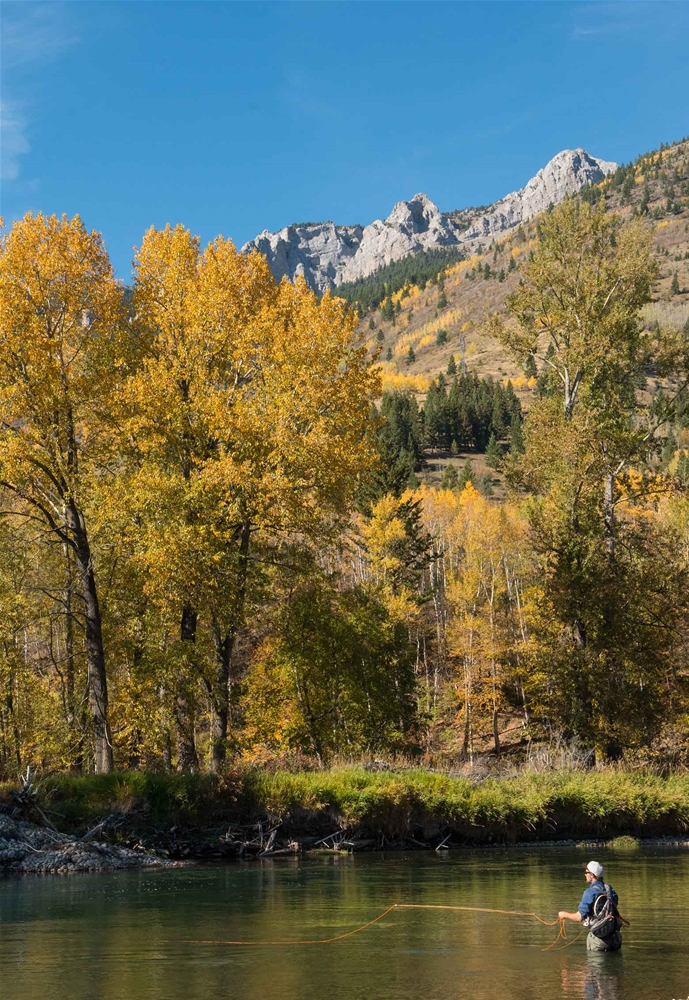 Fall fly fishing on the Elk River in Fernie