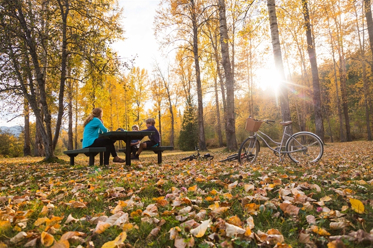 Fall colours in Annex Park