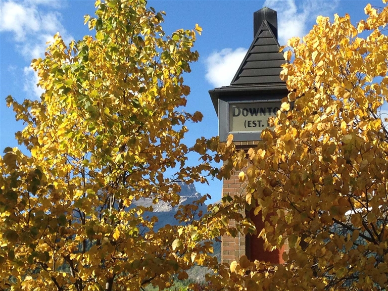 Fall colours at Rotary Park in Fernie