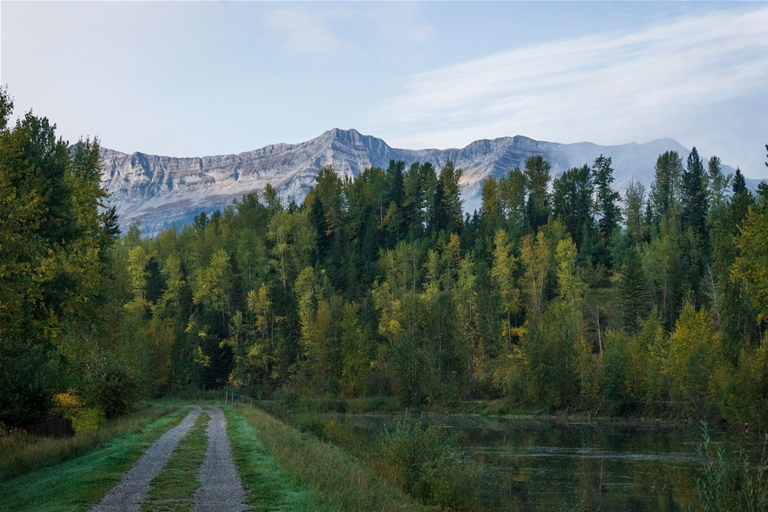 Annex Park dyke trail fall colours with Fernie headwall in background