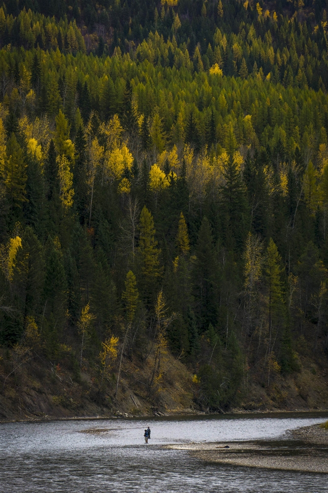 Fly fishing the Elk River by Annex Park