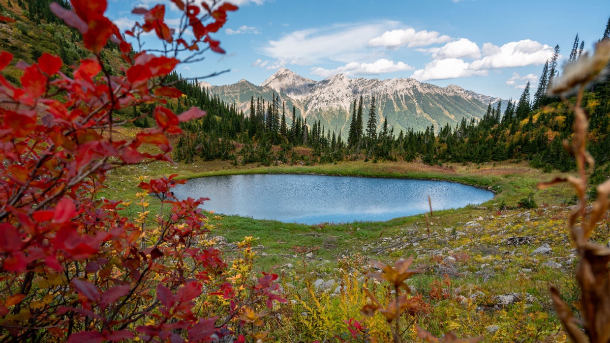 Lizard Lake, Photo by Cole deMarco