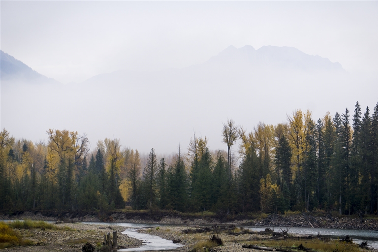 Morning fog on the Elk River 