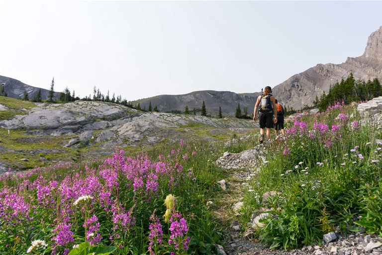 Hiking Heiko's Trail | Photo: Nick Nault