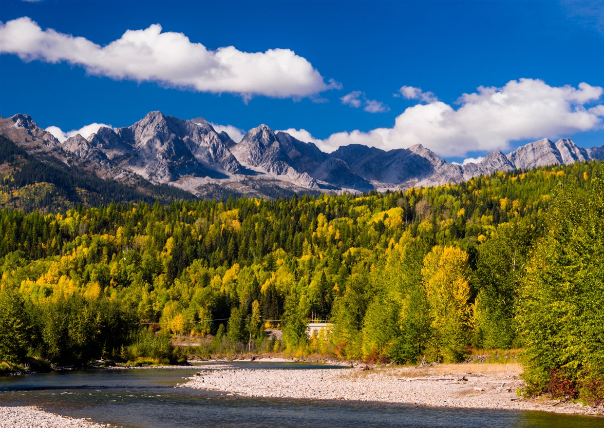 Fall colours along the Elk River with views of the Three Bears