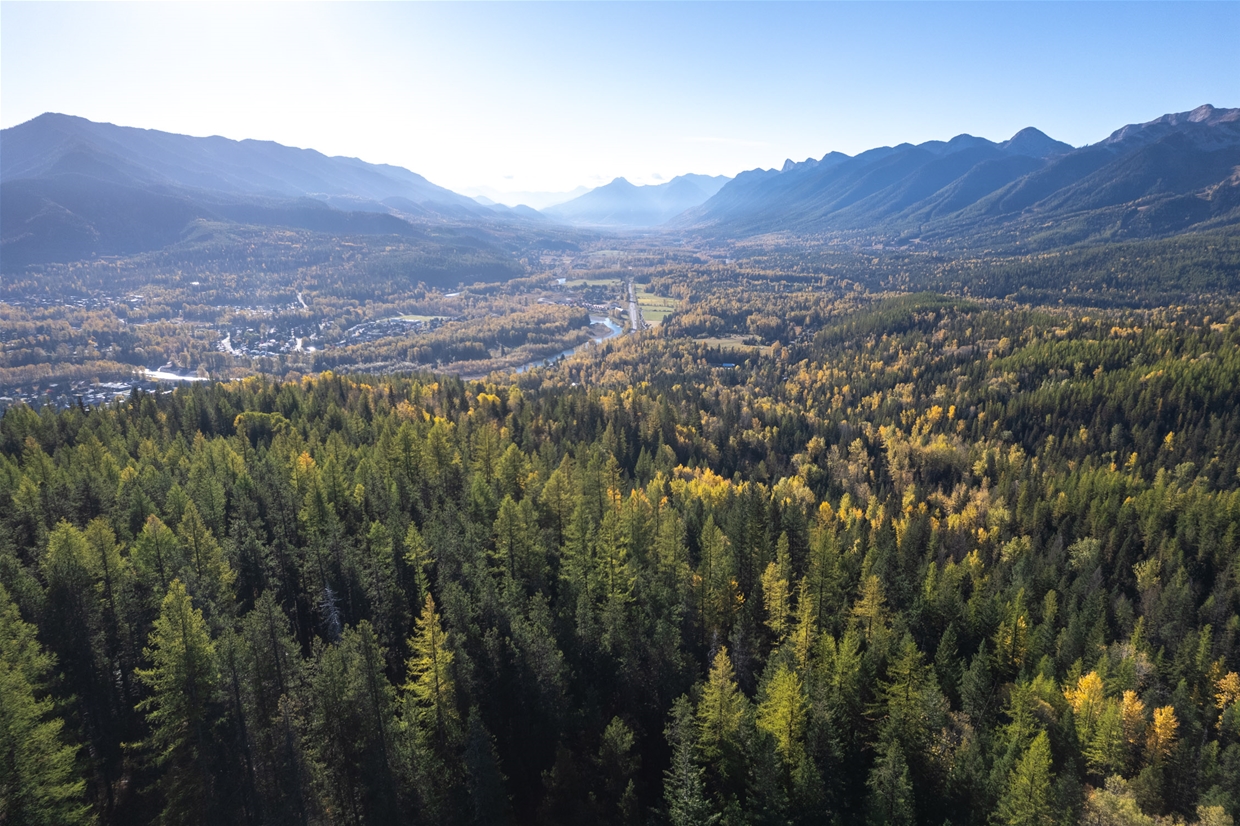 Dem Bones & Mushroom Head Trail To Pete's Bench Viewpoint