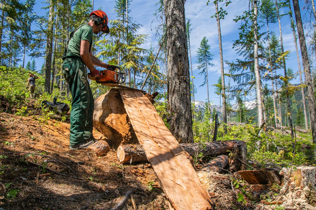 Volunteer trail crews meet regularly to fix and build Fernie's trails