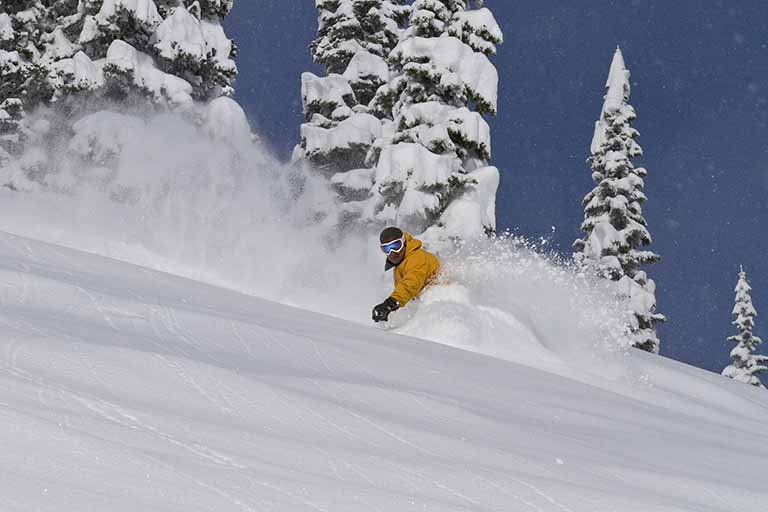 Fernie Alpine Resort - Powder