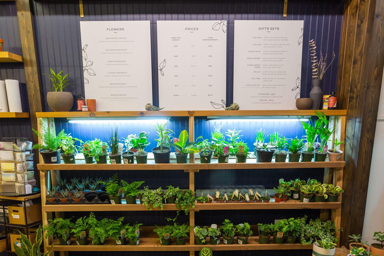 Traditional bouquets & unique plant gifts available