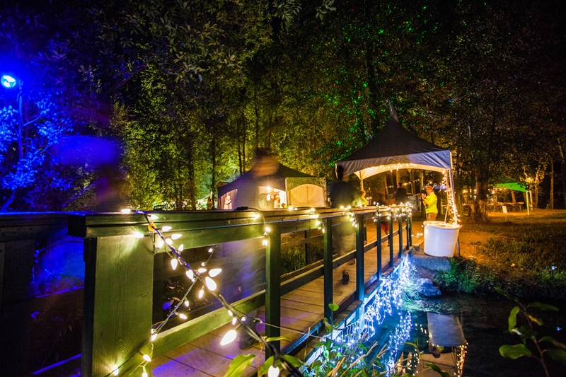 Wapiti Music Festival