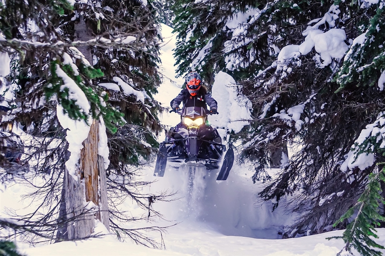 Discover the best of the local terrain with knowledgeable instructors