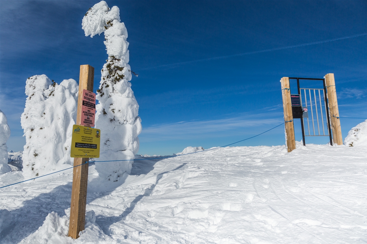 Polaris Bowl Backcounty Access - Transceiver gate to Polaris Bowl